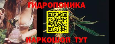 шишки Пугачёв