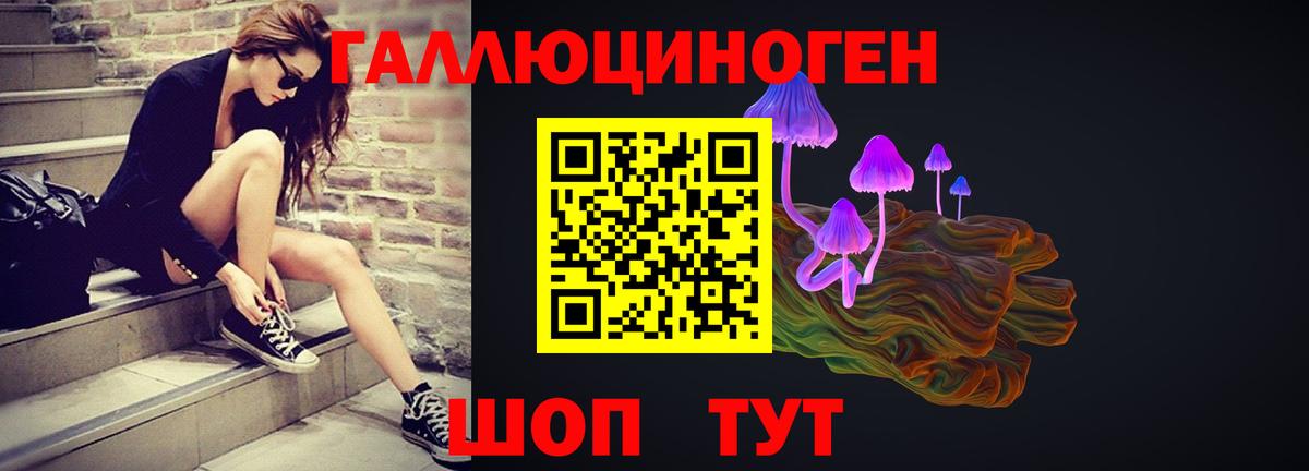 Галлюциногенные грибы Psilocybe Псков